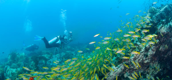 Scuba Diving, Cartagena