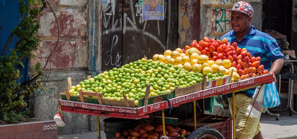 Fruit Seller Cartagena