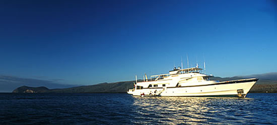 Beluga Motor Yacht