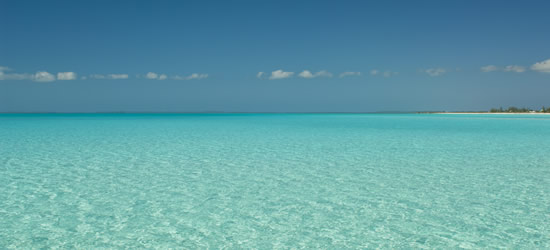 Shallow Waters of the Turks & Caicos