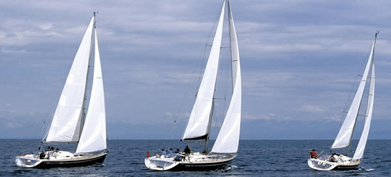 Elan 45