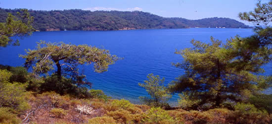 The Bay of Gocek