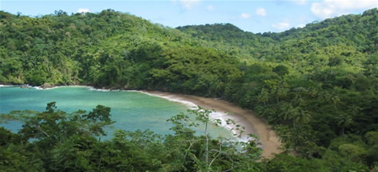 Englishman's Bay, Tobago