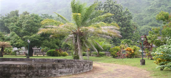Lush Tropical Gardens