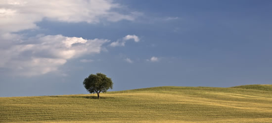 Images of Pescara